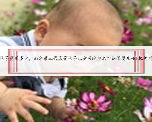 南京代孕费用多少，南京第三代试管代孕儿童医院排名？试管婴儿-ET机构列表？