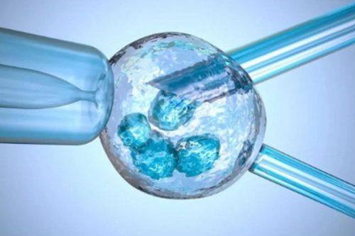 不是人人都能喝孕妇喝绿豆汤有这4大禁忌