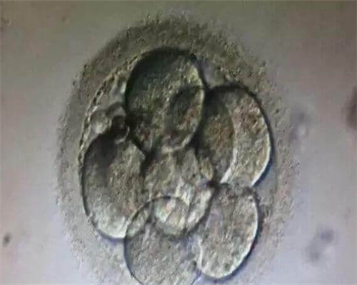 试管代生官网-南京试管医院排行榜 南京十大试管医院排名