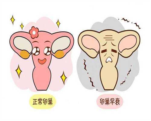 人工授精手术疼吗可以全麻吗?人工授精取卵时会疼吗