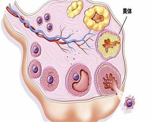 无精子症能治好吗