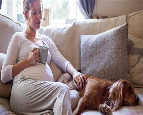 代孕医院最好-南京试管婴儿最好的医院是哪家？