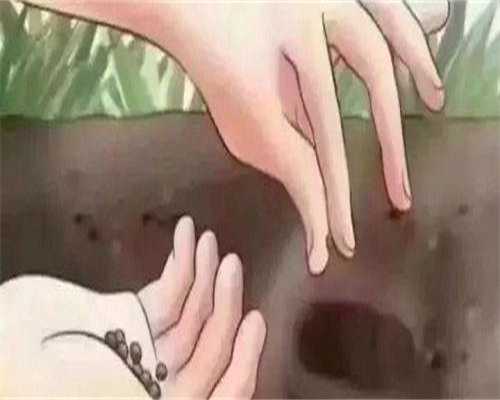 代孕成功几率-如何避免胎停