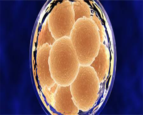 iui人工授精疼吗（人工授精还是试管疼）