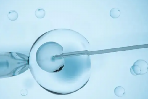 供卵公司-试管婴儿报销吗？试管花费能用医保吗？