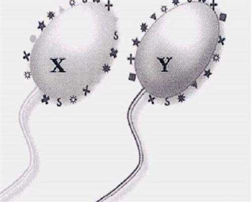 夜针艾泽和hcg的区别，别盲目相信效果好三倍