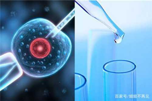 代生孩子-女性抗核抗体阳性1-100影响怀孕么