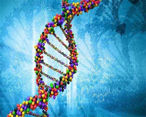 借卵需要流程-试管促排药对身体损害大不大，内附药物注意事项一览