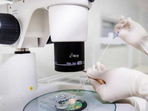 安徽咨询不孕不育症：安徽咨询不孕不育症医院