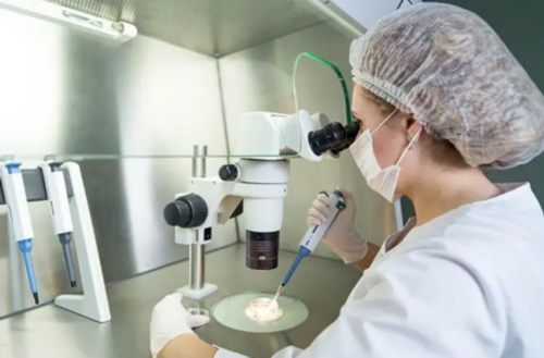 备孕期间月经推迟一天后来一点点血怎么回事（高龄备孕饮食食谱）