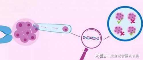 供卵生子医院-卵泡破不破裂怎么看的出